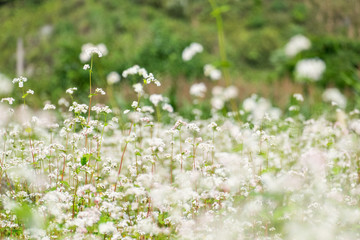 Scenic view of the road to Ha Giang, also called as the East-North route. This route one of the most two famous routes for biker in the north of Vietnam