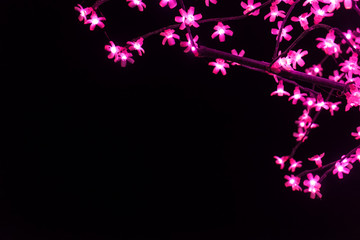 Light flowers on the black background with space for your text