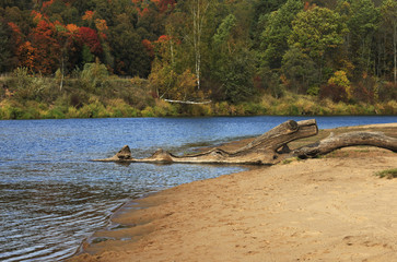 Gauja river at Sigulda, Latvia.