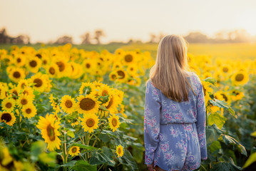 Fototapeta premium woman in a sunflower field at sunset