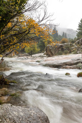 Fototapeta na wymiar Water torrent of the Manzanares river in the Pedriza area of Madrid
