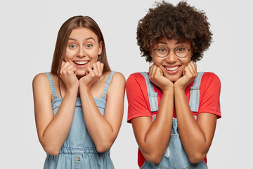 Joyful multiethnic young women smile broadly, keep both hands under chins, listen positive story from interlocutor, stand next to each other, express happiness, isolated over white background.