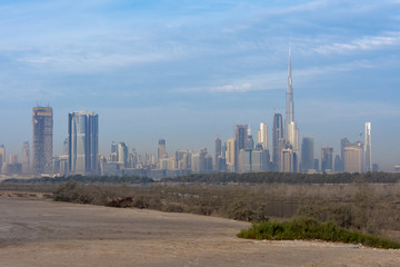 Dubai skyline from the Ras al Khor Wetlands Area