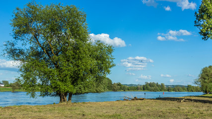 Beautiful view at the danube near Thundorf - Bavaria - Germany