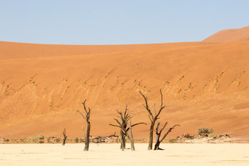 Dünen am Sossusvlei, Namibia