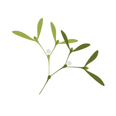 Simple Vector Illustration of Twig of Mistletoe.