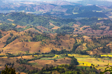 Obraz premium When mountains become cornfields. It's sad to see