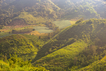 Rice fields on the mountain and the sunlight in the morning