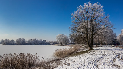 Beautiful view near Mamming-Bavaria-Germany