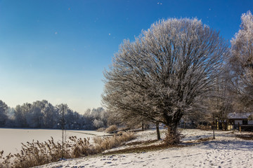 Beautiful view near Mamming-Bavaria-Germany