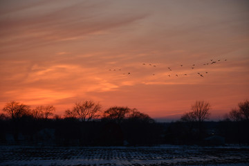 A range of orange colors after sunset light up the sky with the silhouette of trees in the distance. 