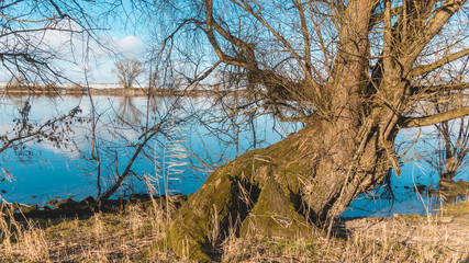 Beautiful view near Steinkirchen-Danube-Bavaria-Germany