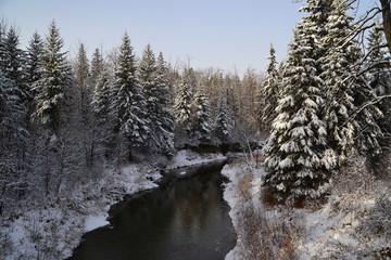 Creek in Winter