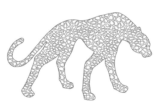 Drawn jaguar, leopard, wild cat, panther doodle outline silhouette