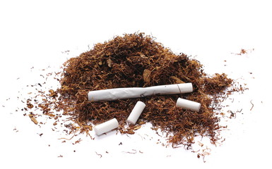  tobacco and cigarettes isolated on white 