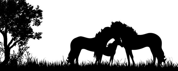 Vector silhouette of family of horses on the meadow. - obrazy, fototapety, plakaty