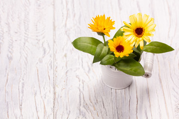 Beautiful yellow flowers on a white wooden background