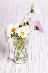 Beautiful flowers on a white wooden background