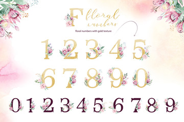 Gold glitter letter alphabet. Isolated Golden alphabetic fonts and numbers on white background. Floral wedding font text illustration