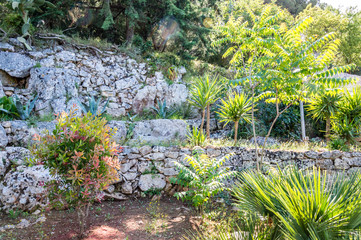 Peaceful life in a mediterranean garden in southern Italy