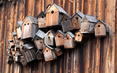 Several wooden bird boxes on a wooden wall