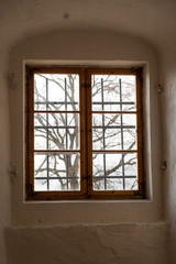 Looking out through a wooden frame window on a leafless tree