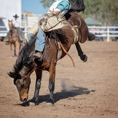 Bareback Bucking Bronc riding At Country Rodeo