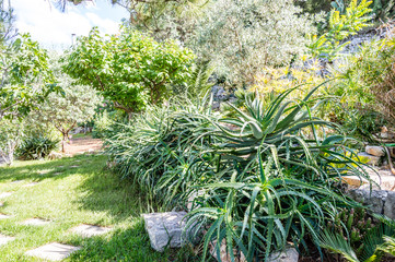 Peaceful life in a mediterranean garden in southern Italy