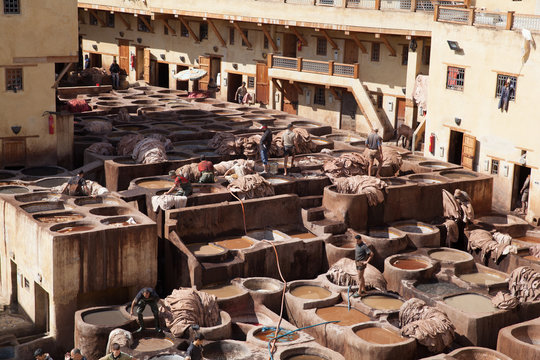 Leather tannery, Fez, Morocco, 2017