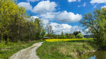 Beautiful view on the danube island near Pleinting - Bavaria