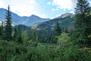 Fototapeta na wymiar western carpathian mountain panorama in clear day