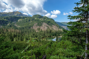 western carpathian mountain panorama in clear day