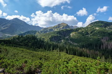 western carpathian mountain panorama in clear day