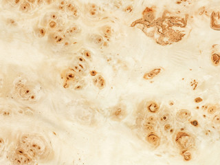 Texture of poplar veneer. Preparation for design_