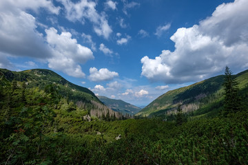 Fototapeta premium western carpathian mountain panorama in clear day