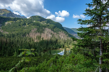 western carpathian mountain panorama in clear day