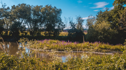 Beautiful view near Walchsing - Vils - Bavaria - Germany