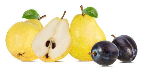Fresh pears with plums isolated on white background
