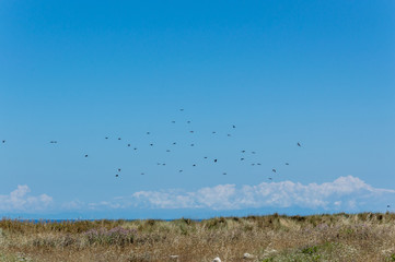 Countryside near Grotta della Poesia in Salento Italy