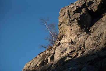 Fels mit Birke vor blauem Himmel, Bruchhauser Steine im Herbst