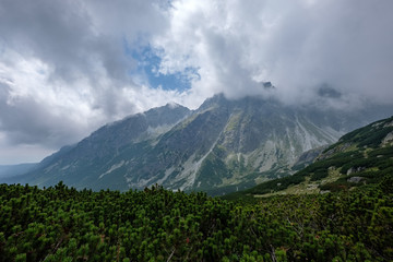 Fototapeta premium western carpathian mountain panorama in clear day