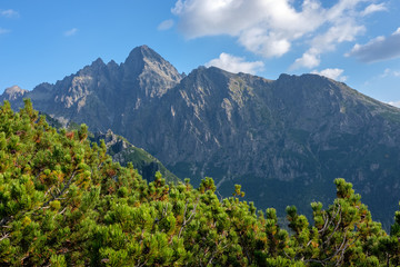 Obraz premium western carpathian mountain panorama in clear day