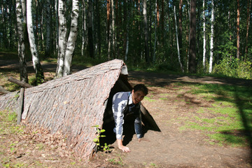 A wickiup to shelter hunters from the weather or to observe the beast in a mixed berozov and pine...