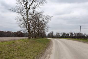 Fototapeta premium Dirt road with bare trees