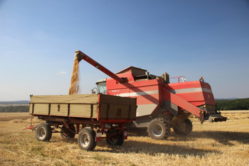 Obraz premium Mähdrescher beim abladen des Getreides