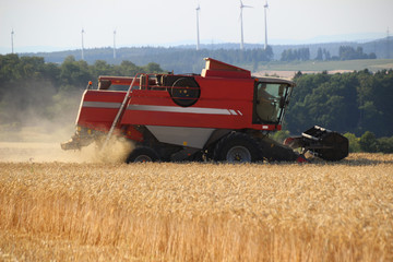 Mähdrescher bei der Ernte 