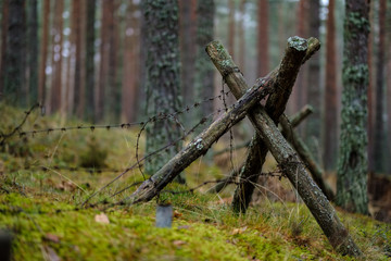 old wooden trenshes in Latvia. reconstruction of first world war. Lozmetejkalns