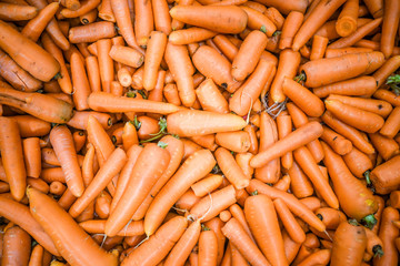 bunch of carrots