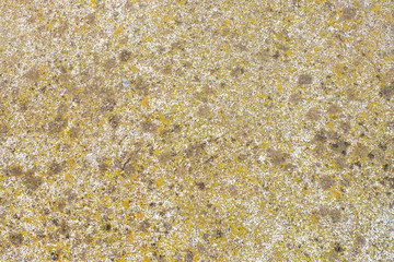 old concrete wall texture background