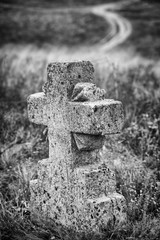 black and white photo in vintage style of alone cross on old cemetery in Ukraine